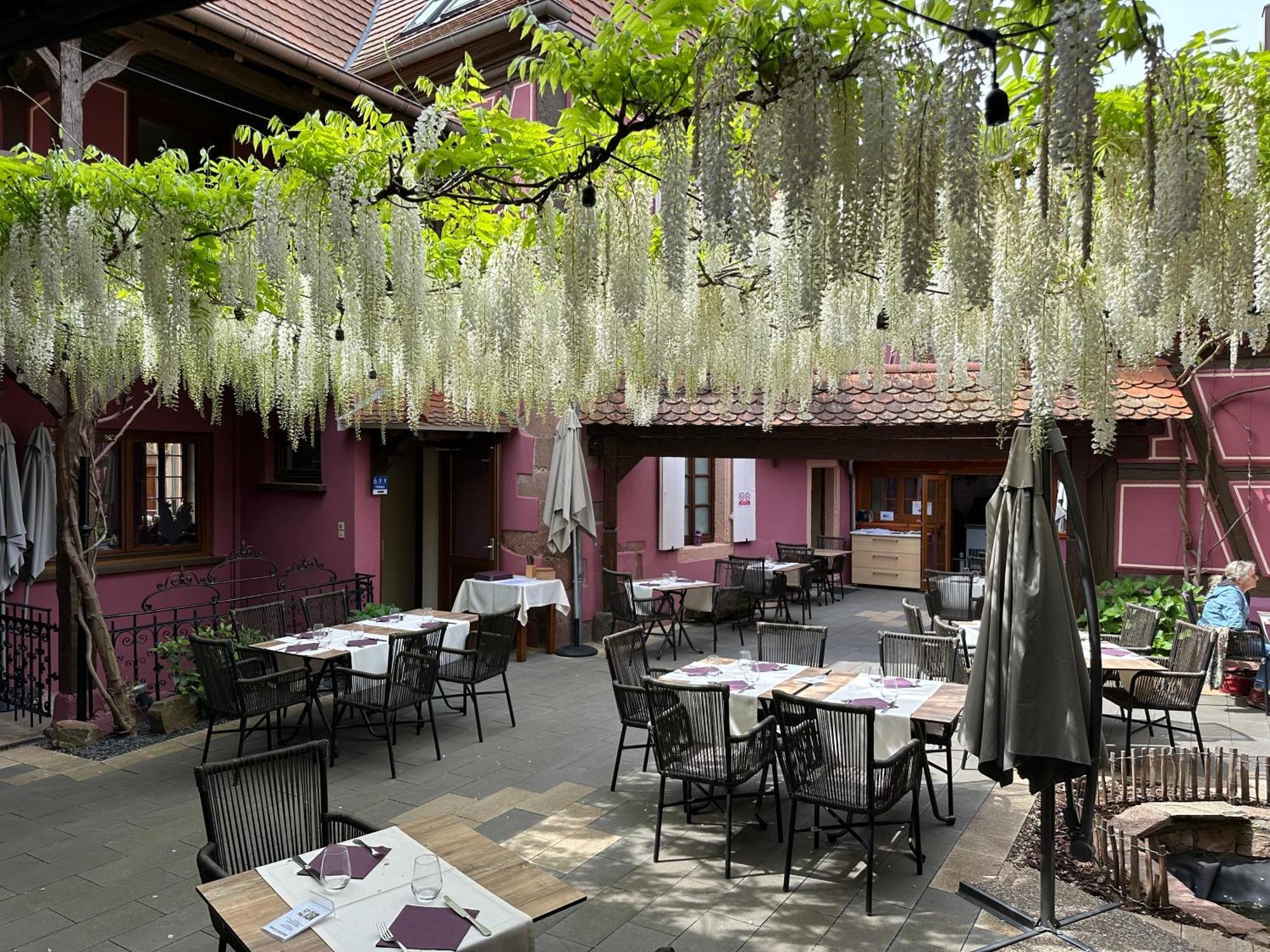 Auberge Le Meisenberg Châtenois Exteriér fotografie