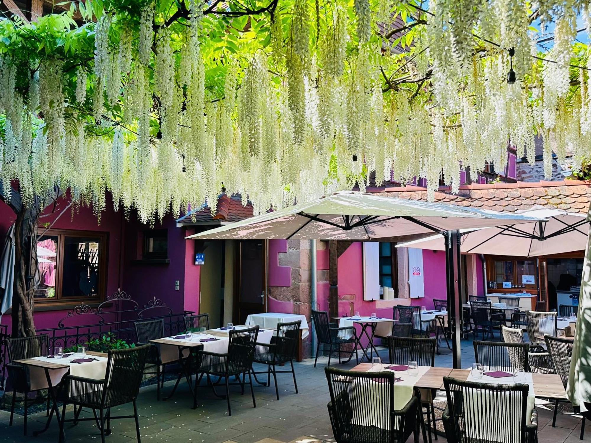 Auberge Le Meisenberg Châtenois Exteriér fotografie