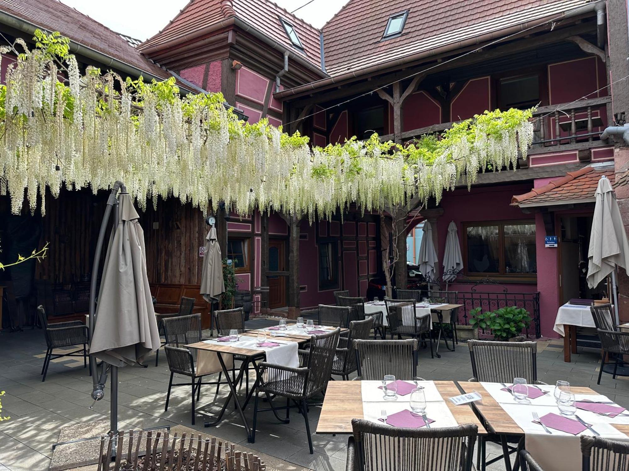 Auberge Le Meisenberg Châtenois Exteriér fotografie